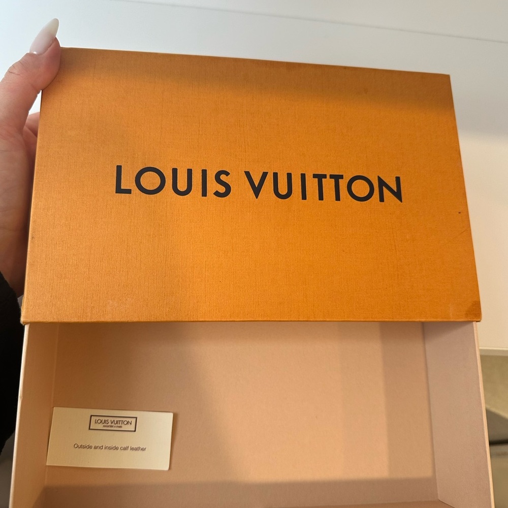 Louis V belt box